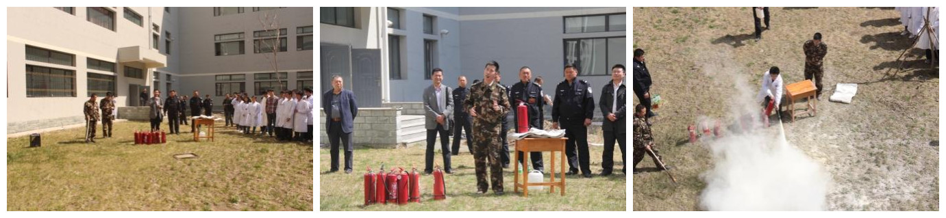 成人网站