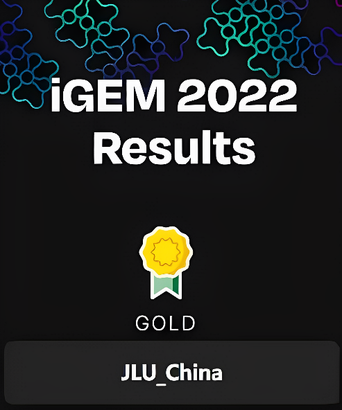成人网站