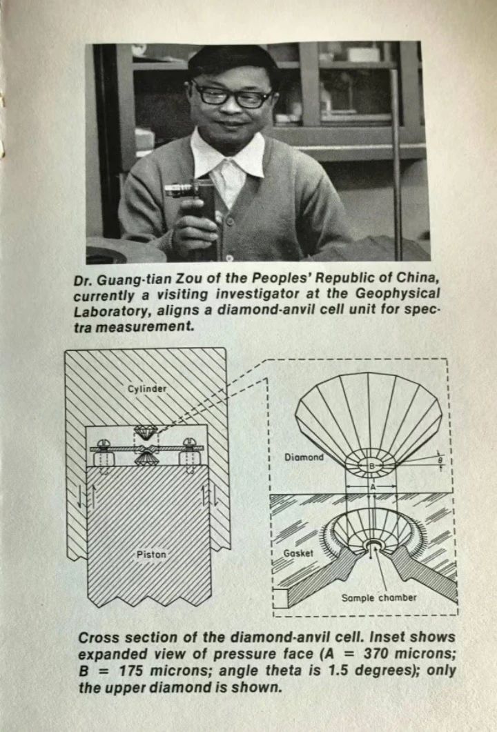 成人网站